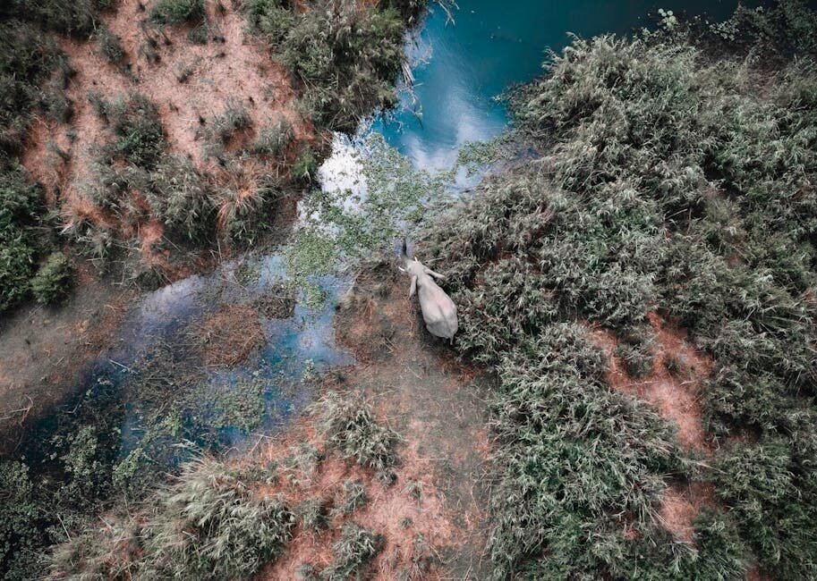 Botswana