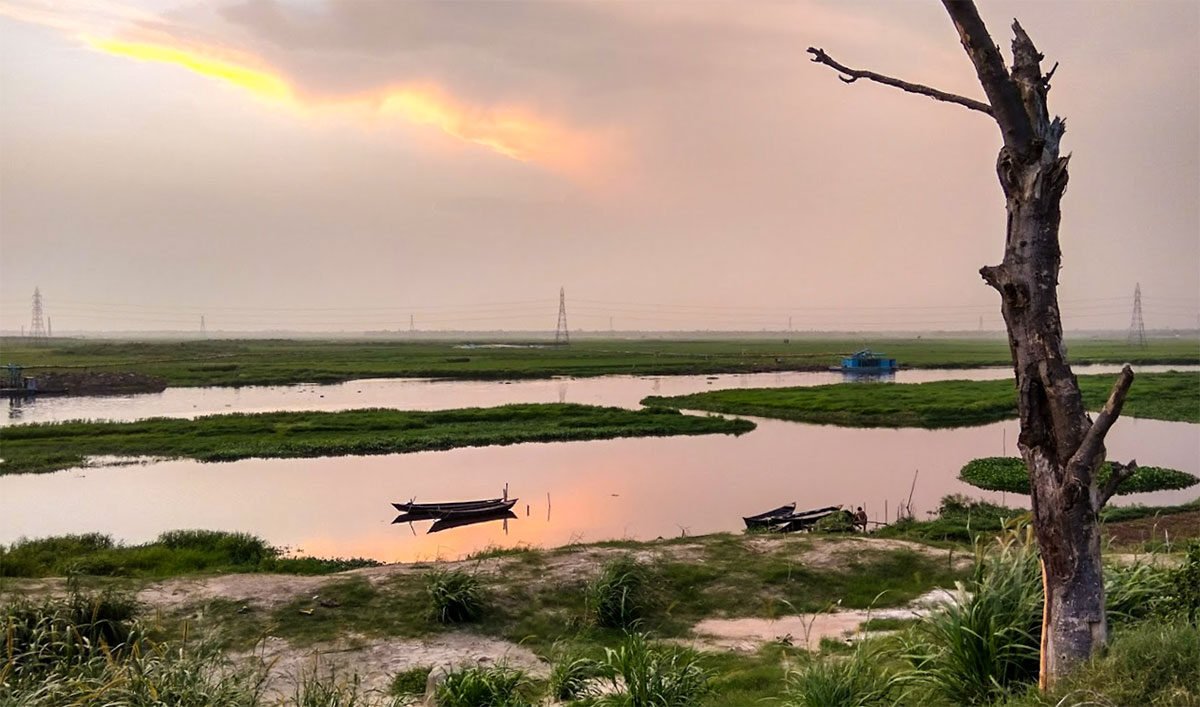 দিয়াবাড়ি ভ্রমণ গাইড: ঢাকার বুকে শুভ্র কাশবনের মায়াবী হাতছানি