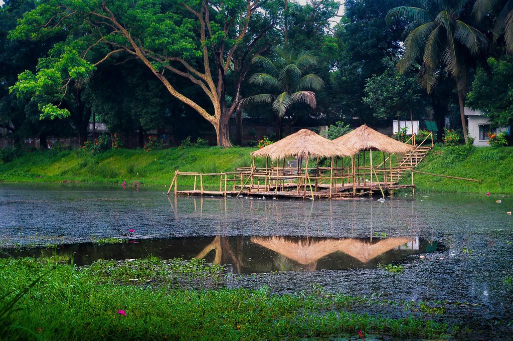 জাহাঙ্গীরনগর বিশ্ববিদ্যালয় ভ্রমণ: অতিথি পাখির কলতান আর প্রজাপতির মেলা