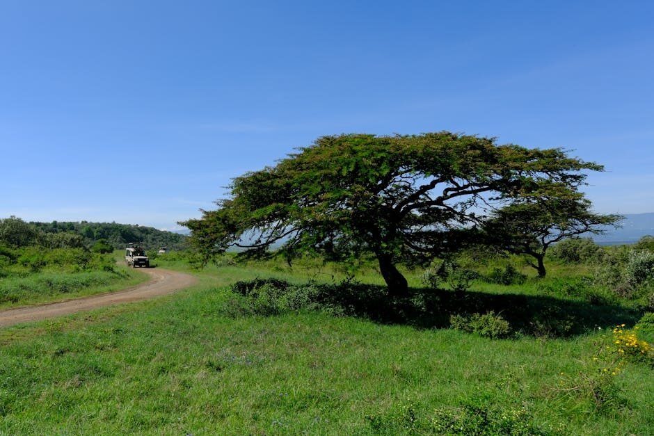 Kenya + Zanzibar Honeymoon 12 Days