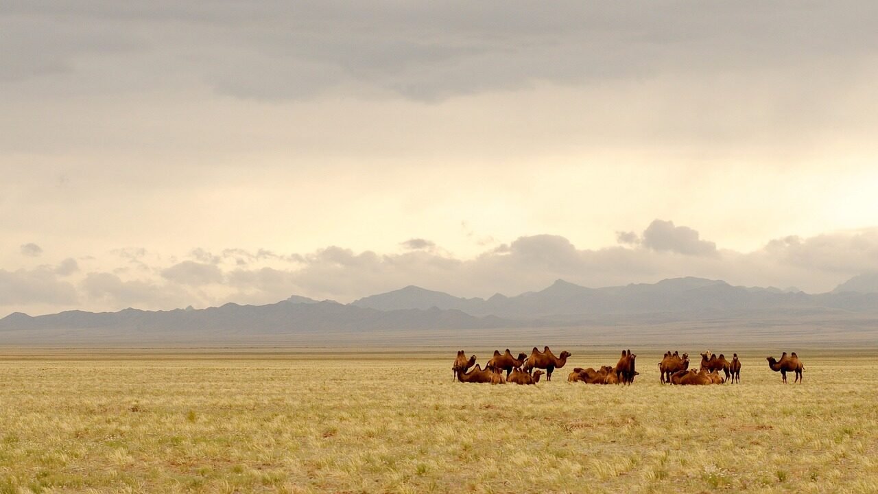 Mongolia
