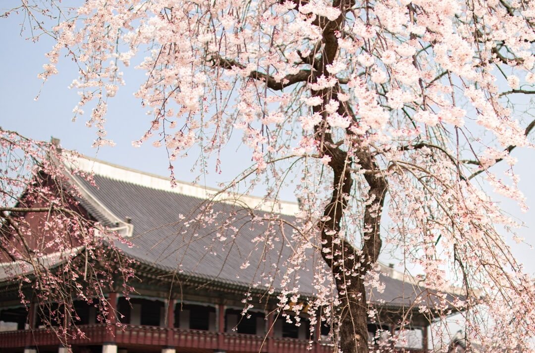 South Korea