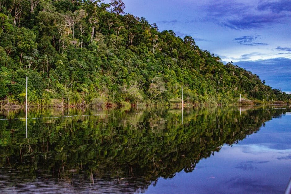 Suriname