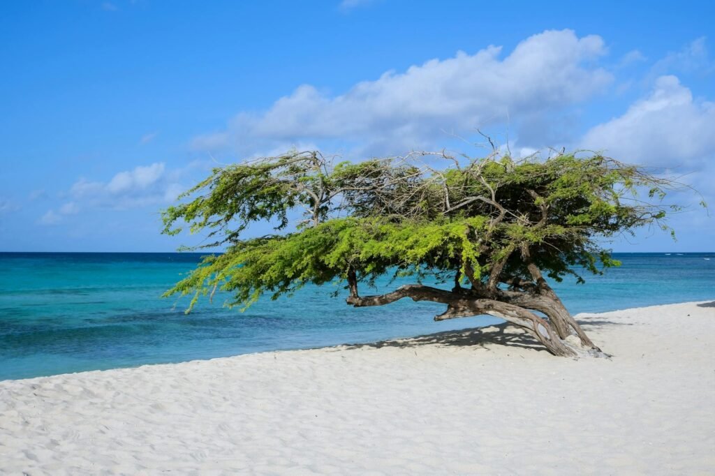 Aruba Visa Guide