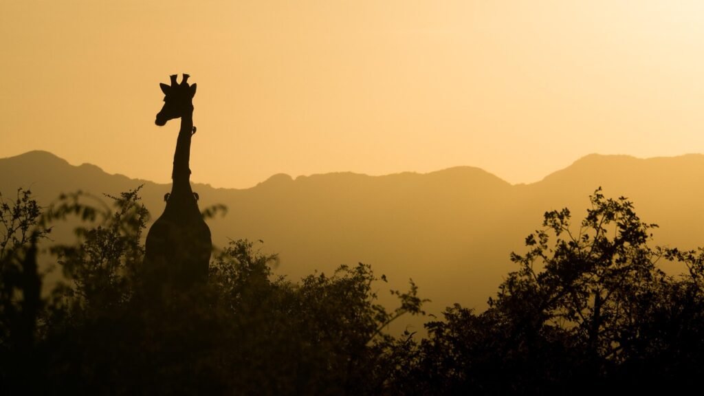 Equatorial Guinea Travel Tips