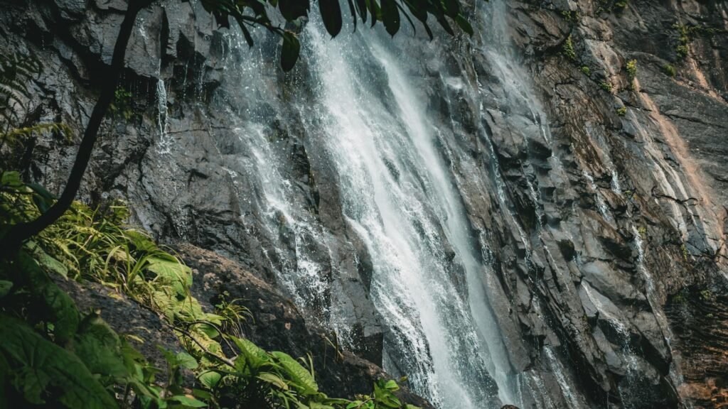 Guinea Top 10 Activities
