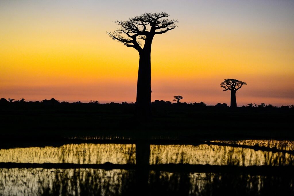 Madagascar Top 10 Activities