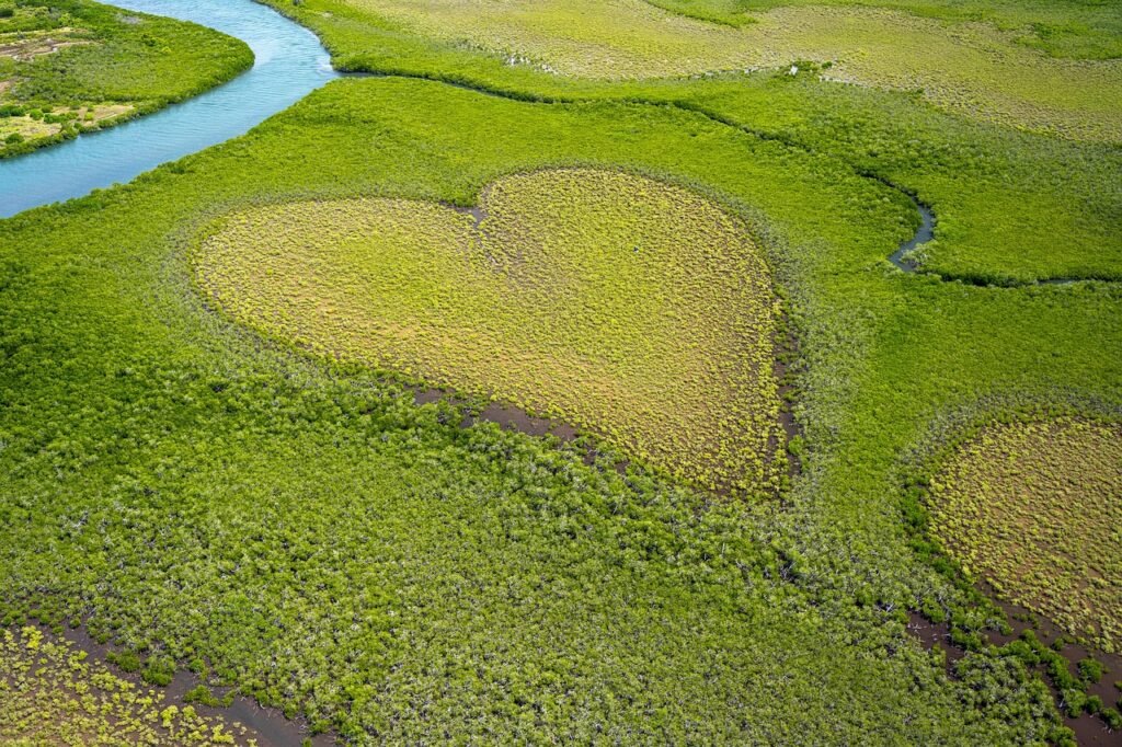 New Caledonia | নিউ ক্যালিডোনিয়া