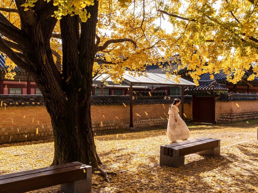 South Korea Visa Guide